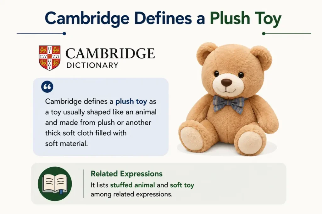Plushie Compared With Plush Toy